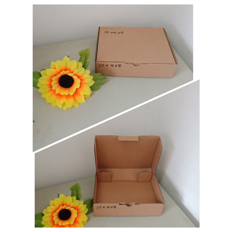 

Kardus 20x20x5 box packing hampers pizza terlaris