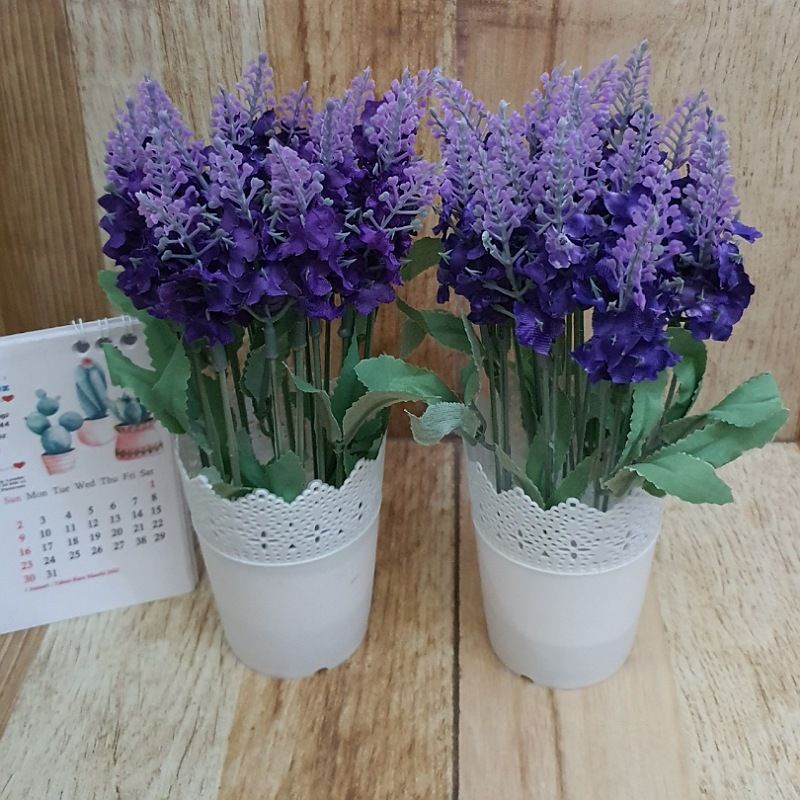 Bunga Lavender dan Vas
