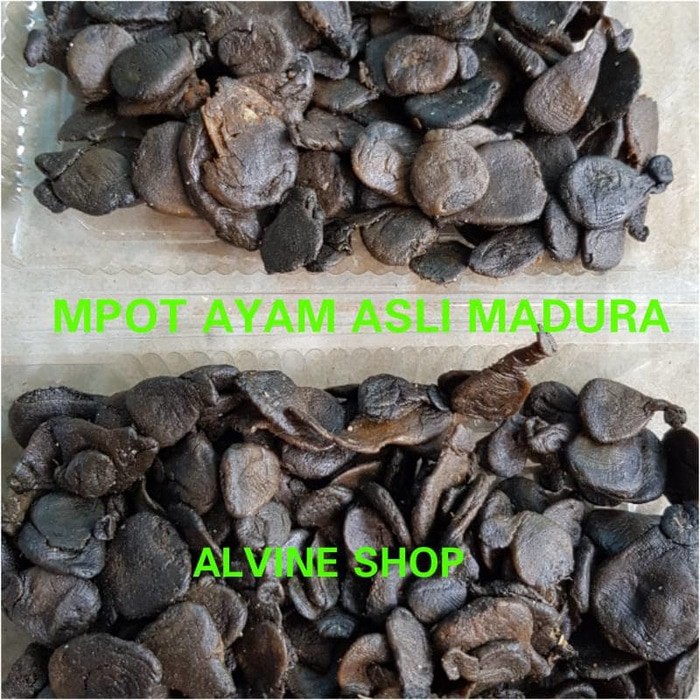 

Mpot Ayam Alami Asli Tanpa Olahan/Empot Ayam Madura Asli Alami 50 GR