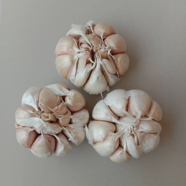 

Bawang putih
