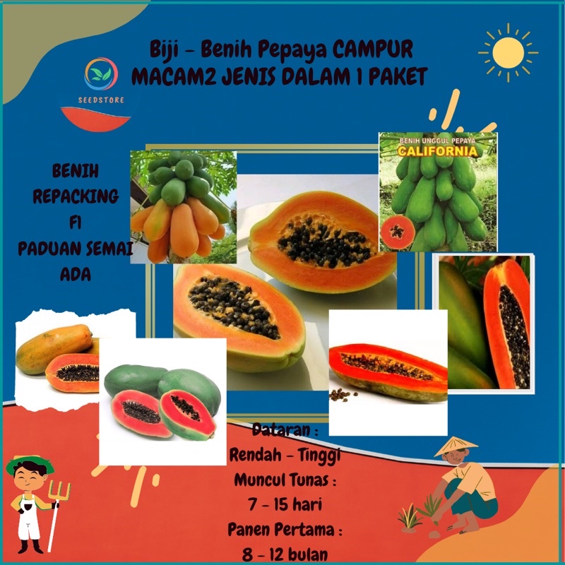 25 Benih Buah Pepaya Campur Mix Berbagai Jenis Pepaya