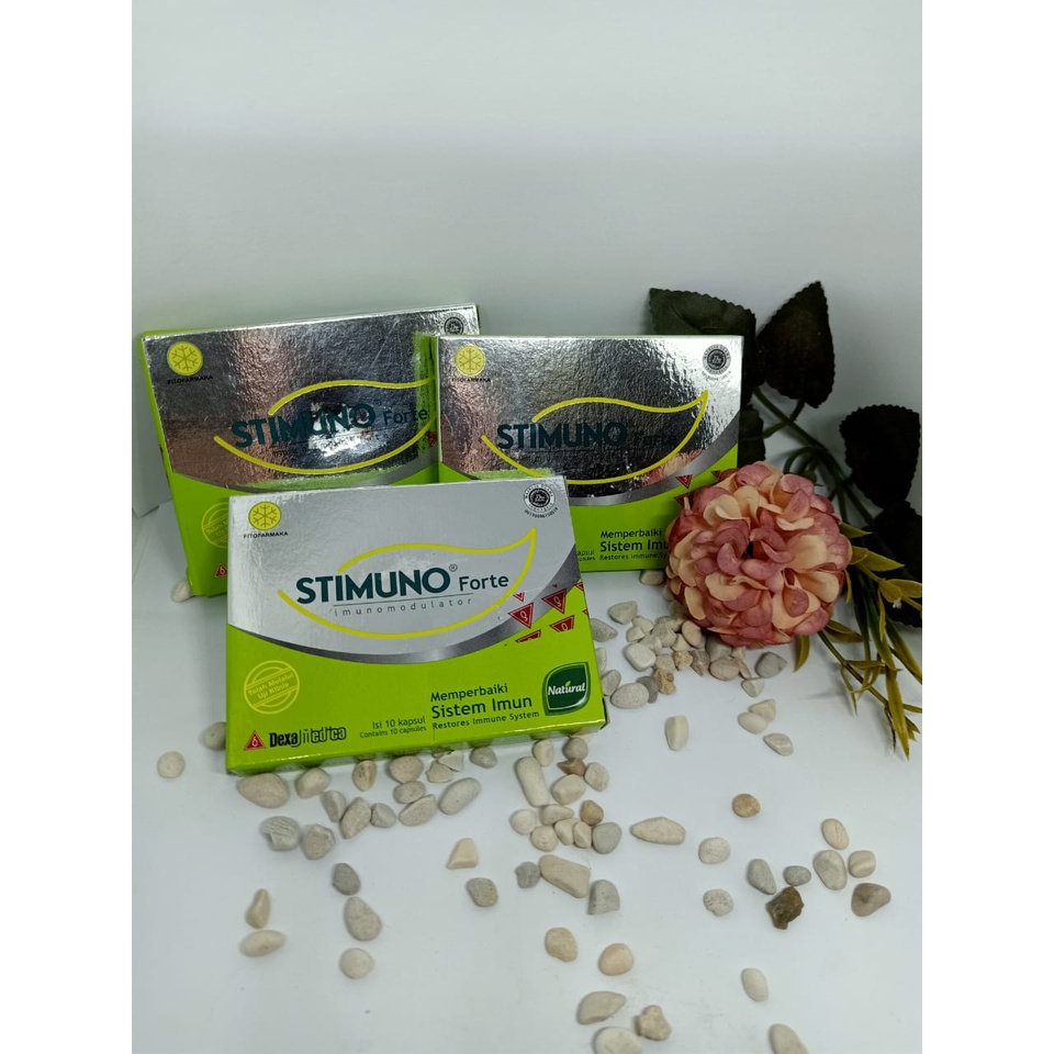 STIMUNO FORTE / STIMUNO KAPSUL / STIMUNO KAPSUL 10's