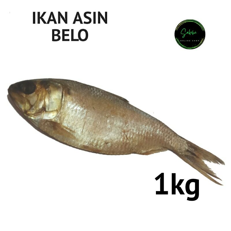 

ikan asin belo 1kg