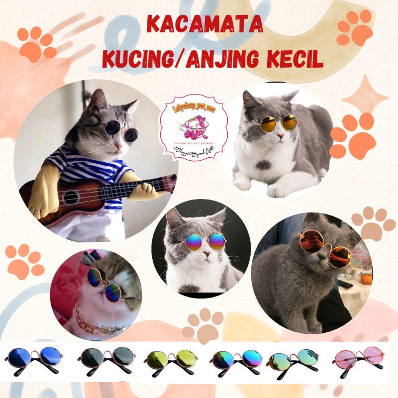 KACAMATA KUCING/ANJING KECIL