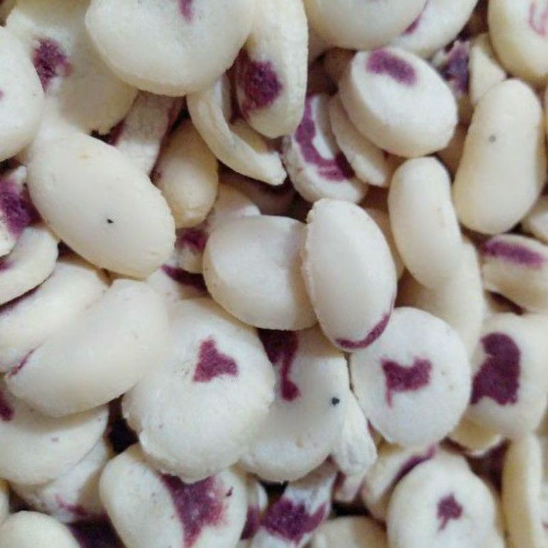 

150 gram moto gareng camilan jadul