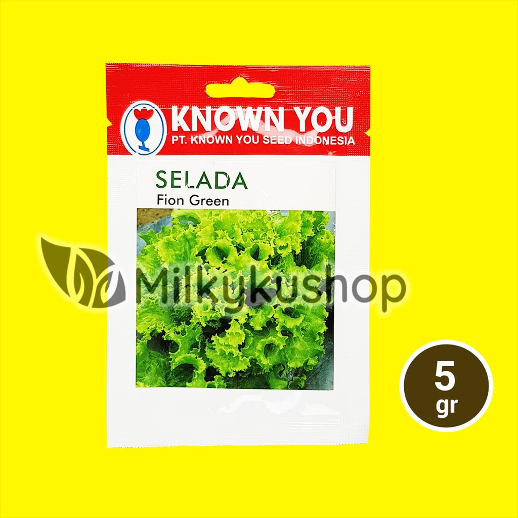 BENIH KYS KNOWN YOU SEED SELADA FION GREEN 5 GRAM KEMASAN PABRIK