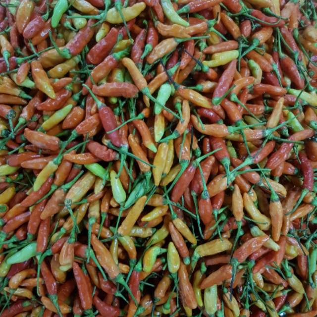 

Cabai Rawit Merah /ons