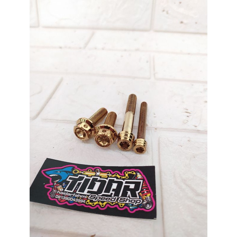 baut probolt kaliper monoblok