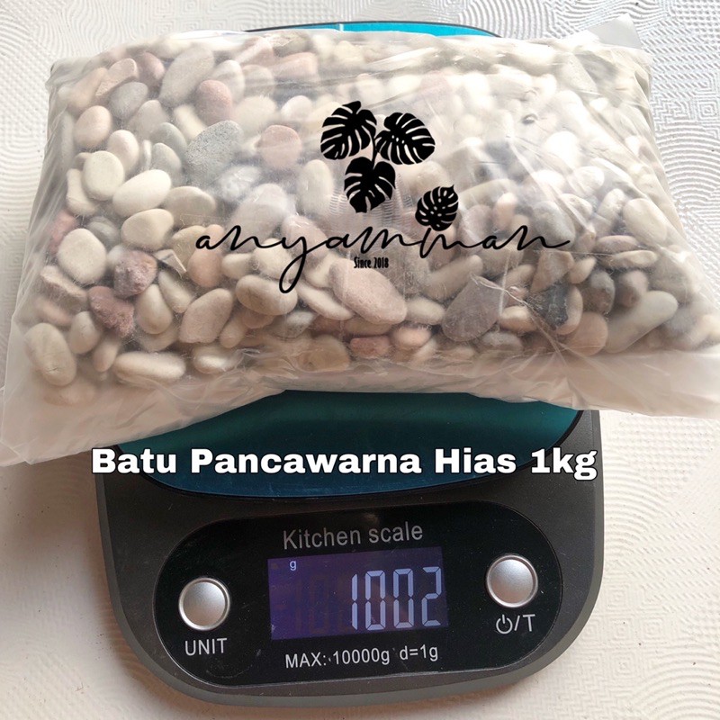 Batu Pancawarna Kecil/Batu Hias Aquarium/Batu Koral Kerikil 1kg