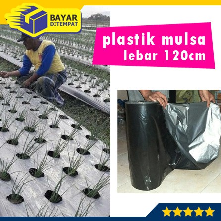 Plastik Mulsa Hitam Perak Silver Lebar 120cm Tebal 0.35mm Tutup Tanaman Hidroponik