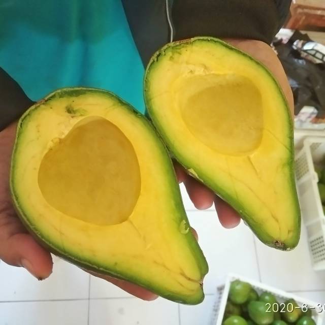 

ALPUKAT MENTEGA SUPER GURIH ASLI BONDOWOSO JANTUNG SEHAT
