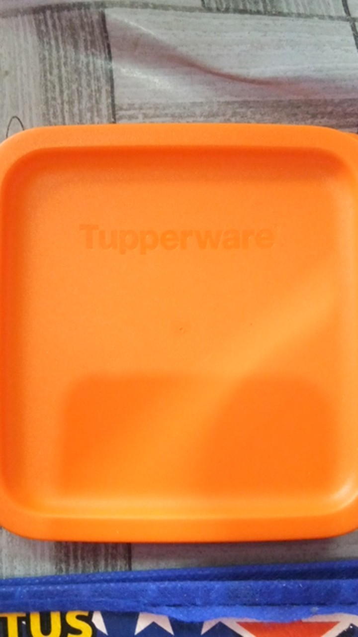 Tutup Summer Fresh (1 Pcs) Tupwr