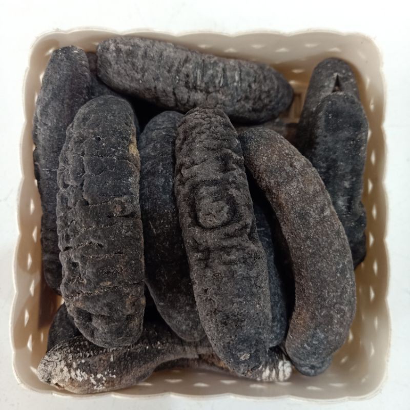 

100GR (3 EKOR) TERIPANG / HAISOM BAKAU / BELITUNG / TUKSOM KERING