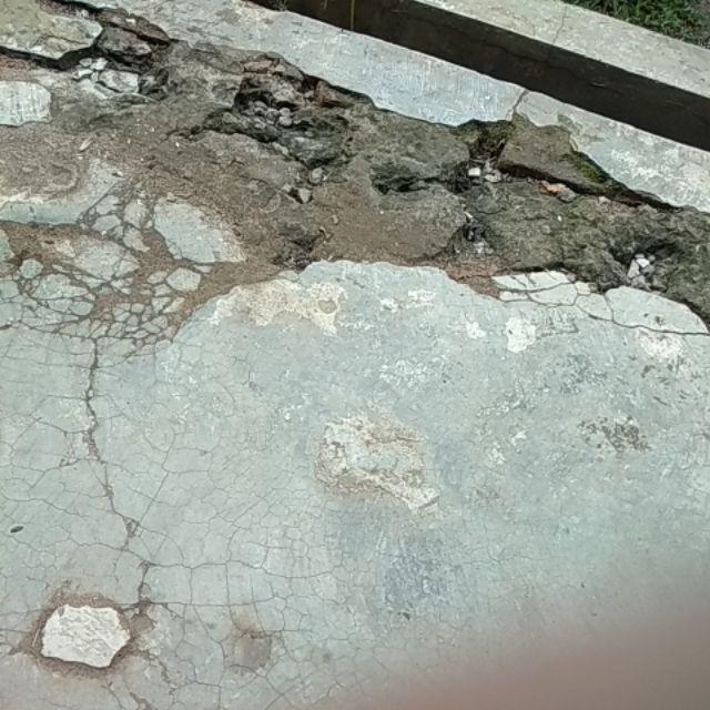 Sumpit Glugu Pohon Kelapa