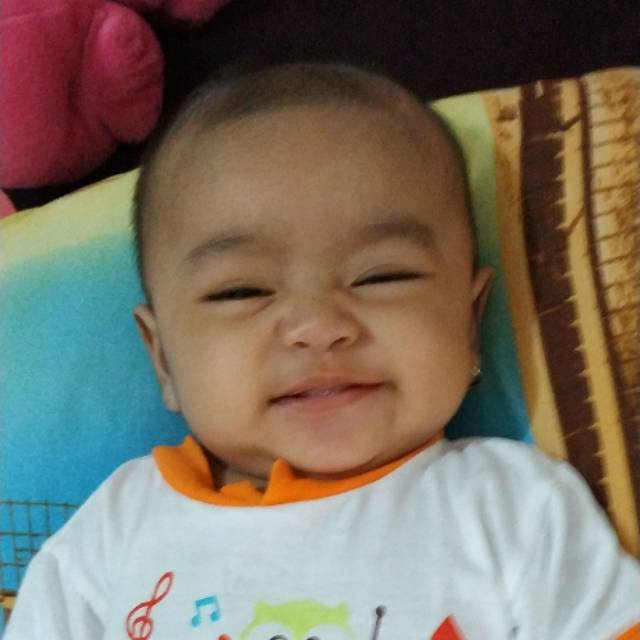 novihidayatul_