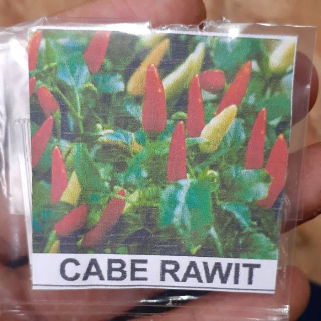 Benih 50 Biji Tanaman Cabe Rawit Super Pedas/Benih pohon cabe rawit
