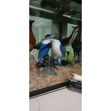 jontrot burung Tengkek