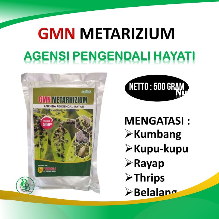 Pupuk busuk akar, obat busuk batang