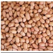 

Kacang tanah 250 gram