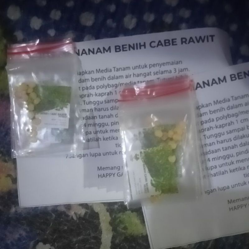 Benih Cabe Rawit