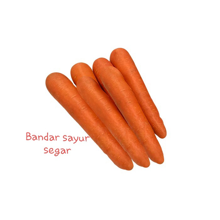 

Sayuran Wortel besar kecil bersih murah