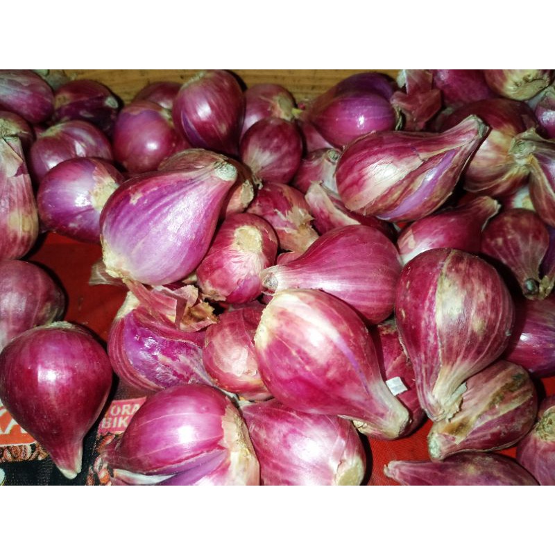 

BAWANG MERAH SUPER 500G