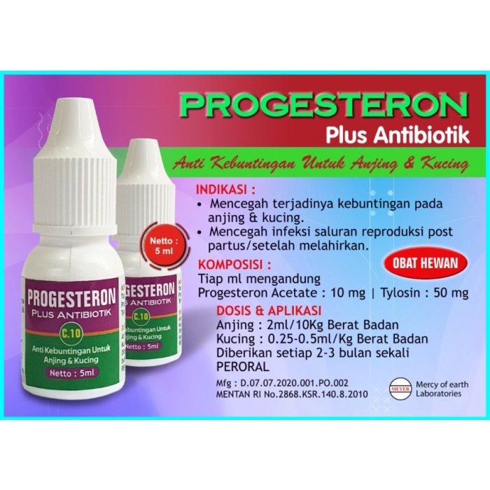 TERBARU Obat anti hamil untuk anjing & Kucing + Antibiotik|Progesteron