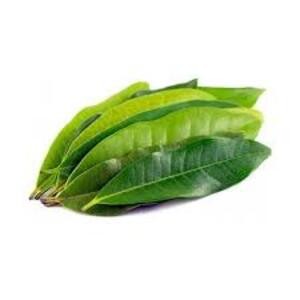 

daun salam goceng (5 ribu)