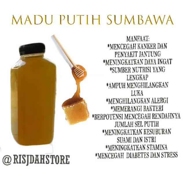 Madu Putih Sumbawa Madu Sumbawa Madu Murni Madu Asli Madu Sarang Lebah Madu Herbal Madu Indonesia