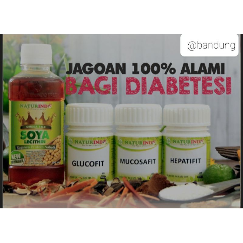 Paket Herbal Diabetes Naturindo