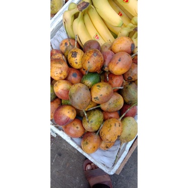 

Buah Markisa Bandung manis