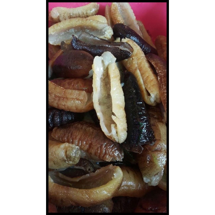 

DISKON TERBATAS !!! TERIPANG - MENTIMUN LAUT - HOISOM 250 GRAM TERLARIS