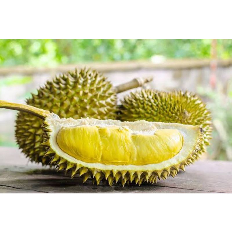 Buah Durian musang king & si montong siper jumbo