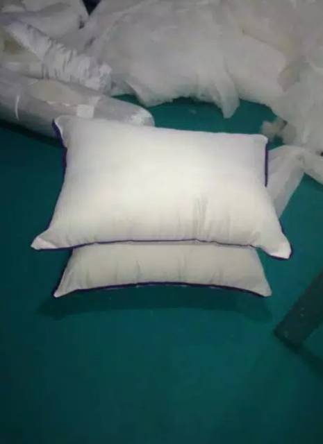 Bantal / Guling  ALASCA satu pcs