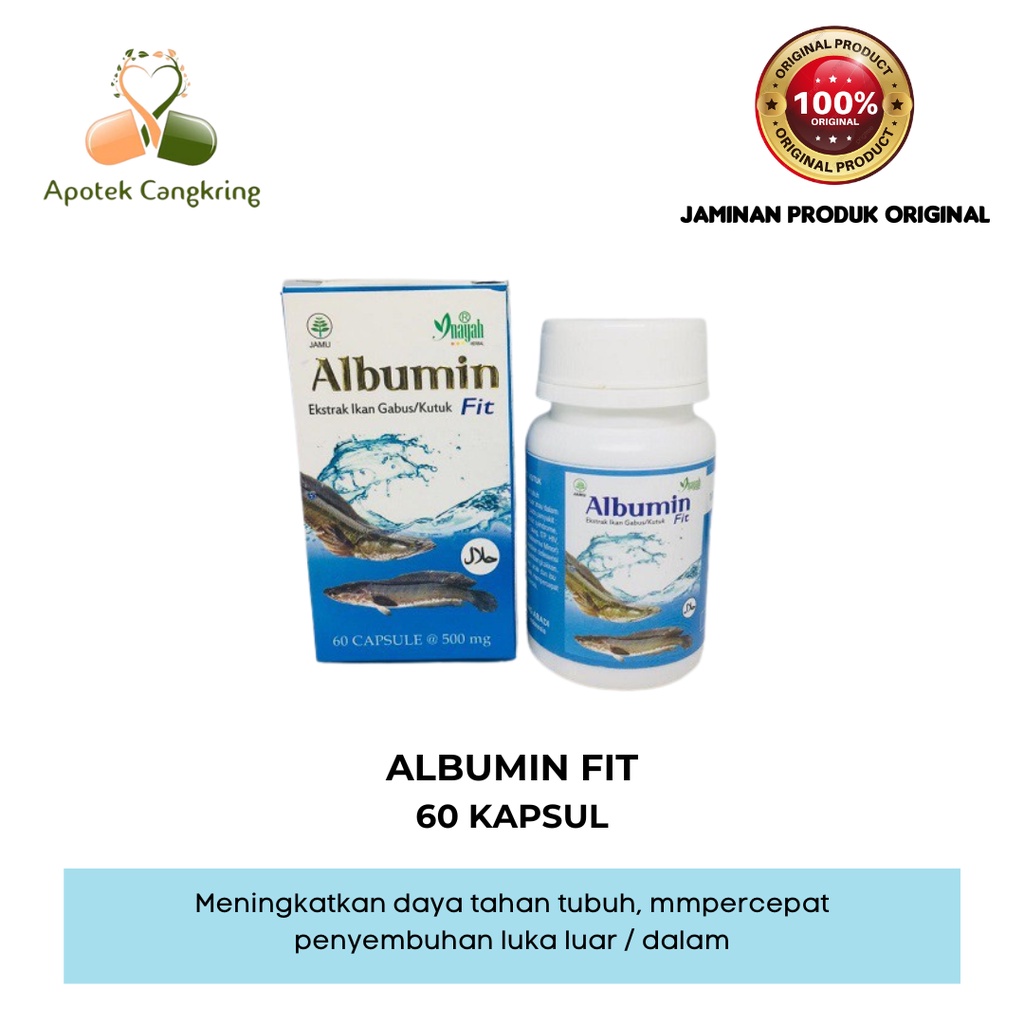 ALBUMIN FIT EKSTRAK ALBUMIN IKAN GABUS / KUTUK