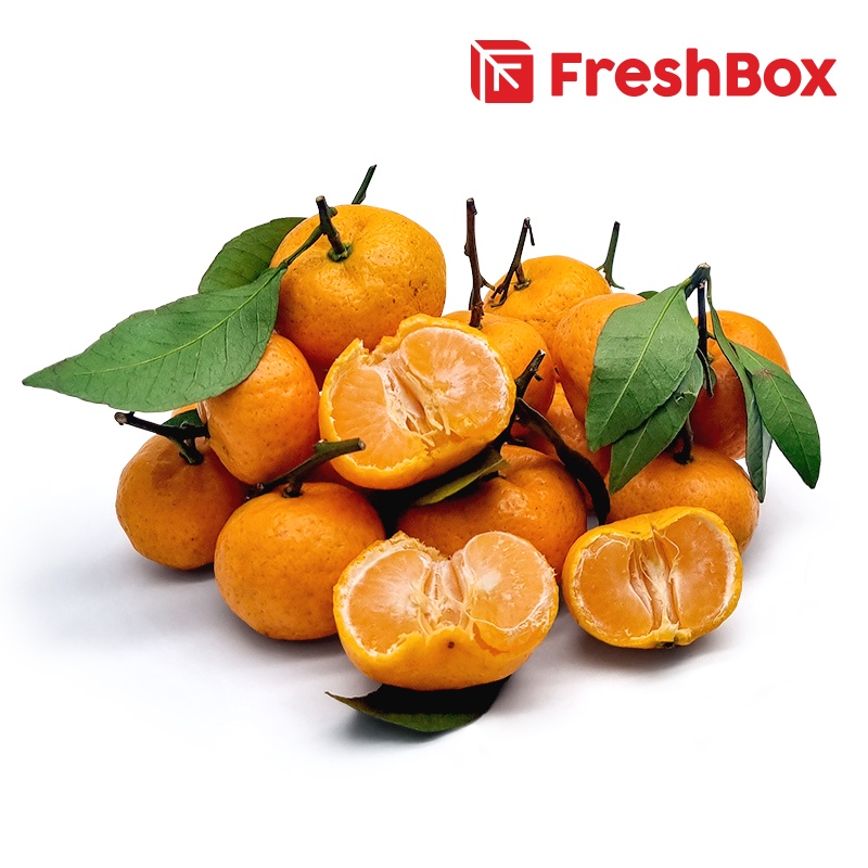 

Santang Nanfeng Daun 500Gr FreshBox