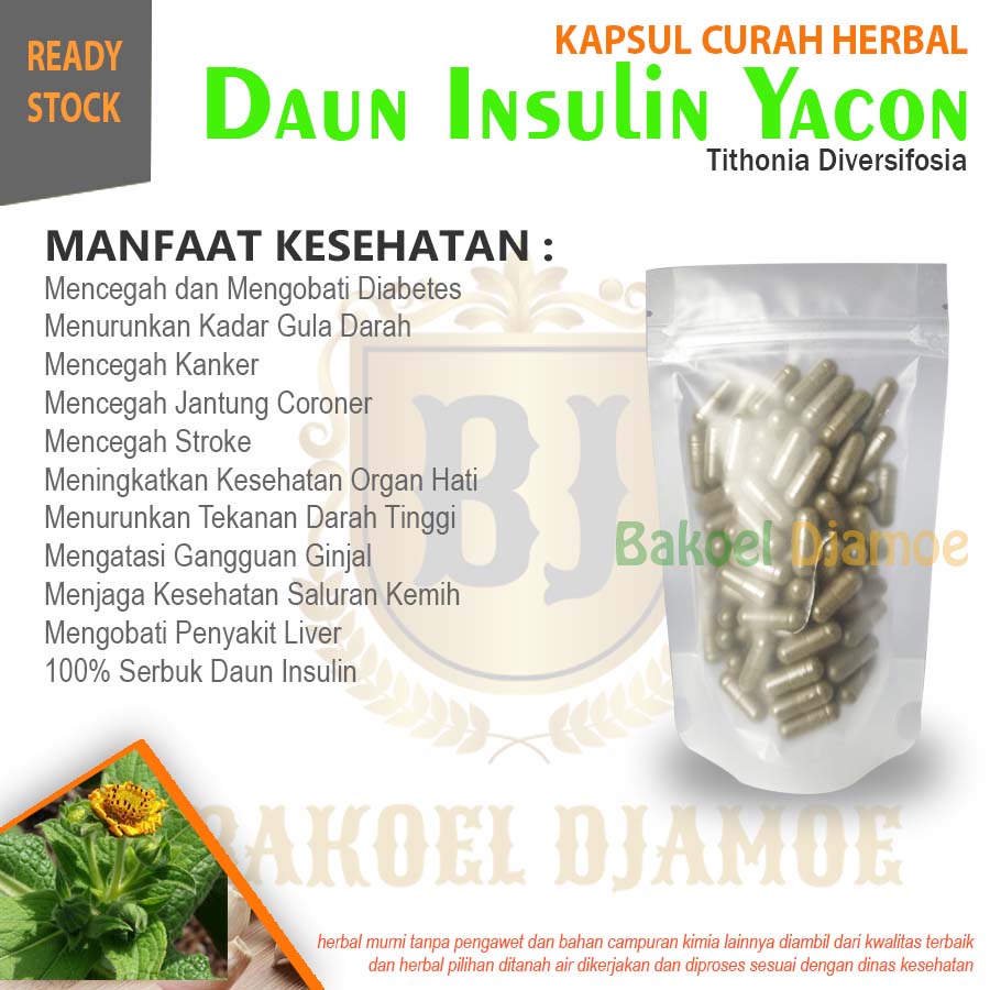 

Kapsul curah herbal daun insulin yacon kapsul herbal diabetes