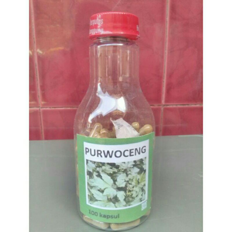 Kapsul Purwoceng isi 100 @500 mg