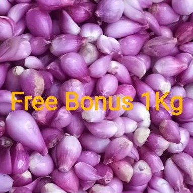 

Bawang Merah Kupas Brebes Besar uk ½ kg + Gratis Bonus