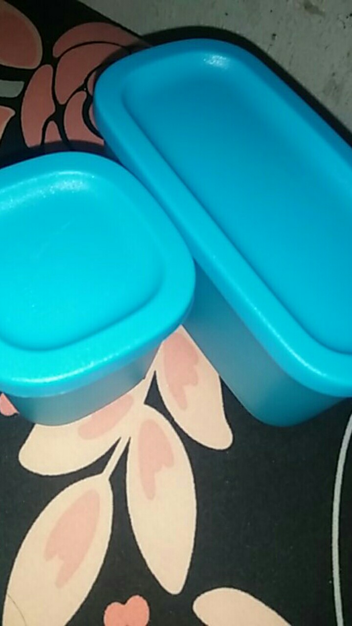 Petite Fiesta (2 Pcs)  Wadah Mini Tupwr
