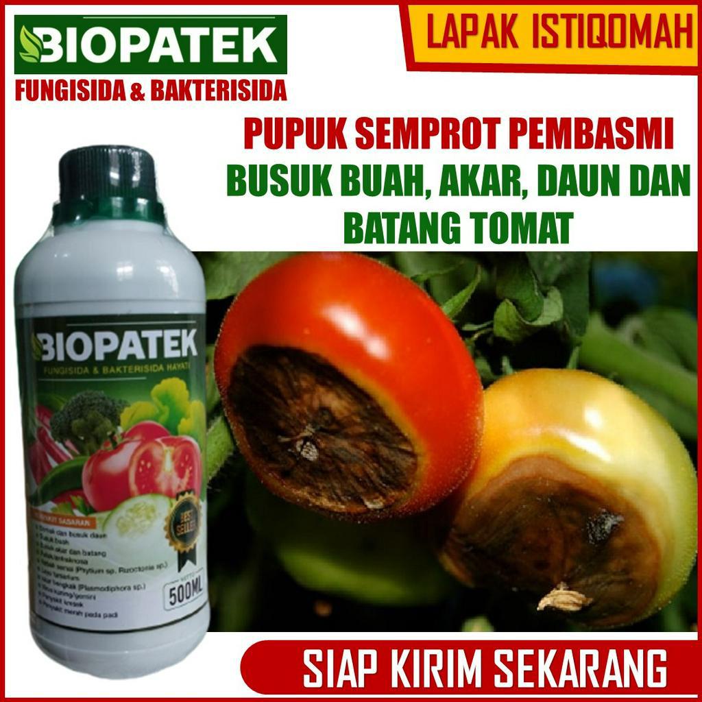 BIOPATEK 500 ML fungisida bakterisida obat busuk tomat obat anti jamur tanaman obat bulai tomat obat