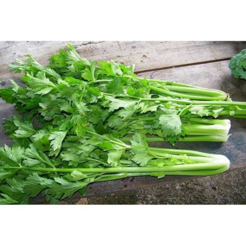 

Seledri 100gr