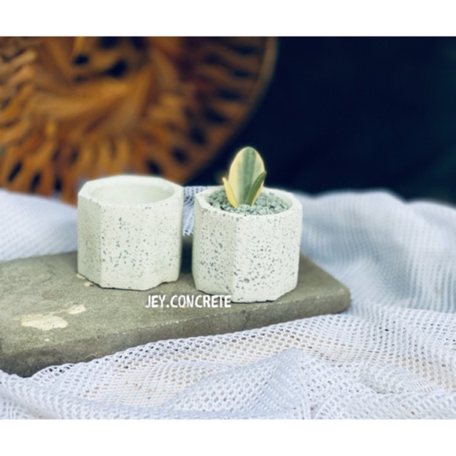 Pot Mini Sukulen Semen