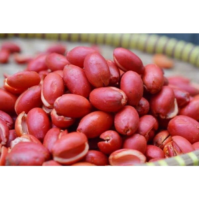 

Kulit Melinjo Merah 250 gram
