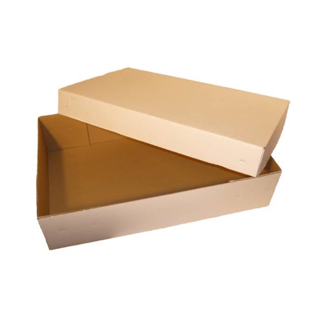 

TAMBAHAN BOX + BUBBLE WRAP ( WAJIB DIBELI UNTUK FACE SHIELD)