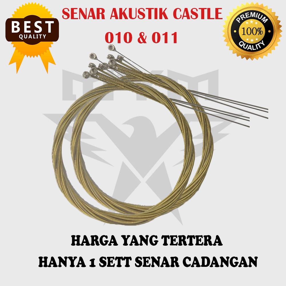 Senar akustik castle unpacking 0.10