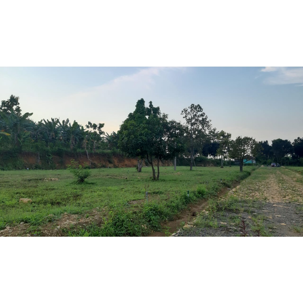 Tanah Kavling Murah Dekat Tol Cibubur