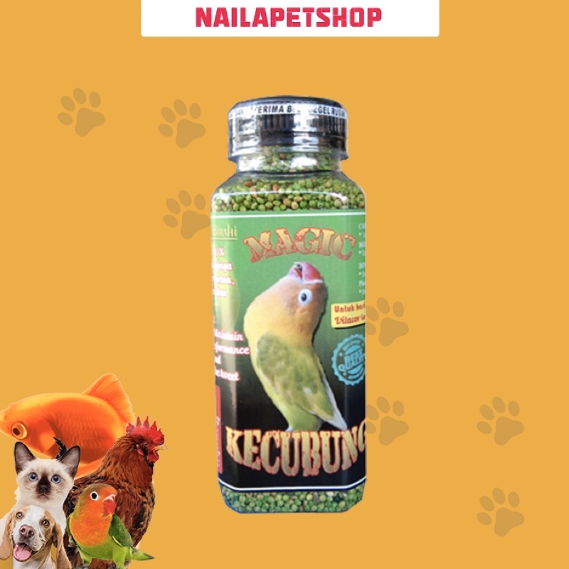 MAGIC KECUBUNG PAKAN LOVEBIRD