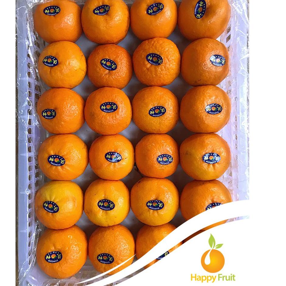 

[PROMO VJQ76] BUAH JERUK WOGAN WOKAM PREMIUM JERUK KUPAS IMPORT IMPOR 500 GRAM [HAPPY FRUIT] Terkini