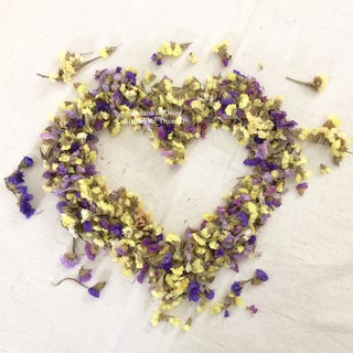 Dried Flower Caspea Limonium statice Flower Head kelopak Dried Flower Caspea Limonium statice Flower Head kelopak